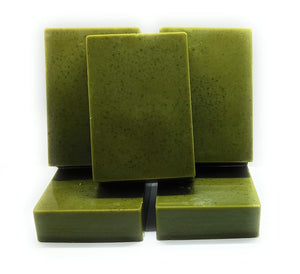 Moringa Soap (Face+Body Bar)