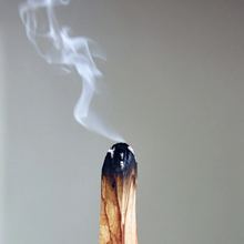 Palo Santo Sticks - Stay balance and tranquility